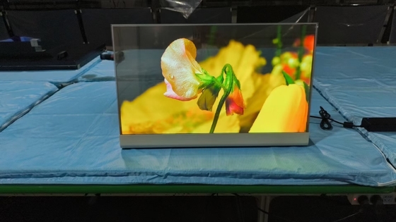 30 / 55 Inch Transparent OLED Screen Desktop Landscape Energy-Efficient For Retail Store Education Shopping Mall Hotel